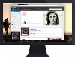Deezer to launch in the USA in 2014 with a partner, potentially Microsoft