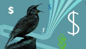 BPCE becomes the first bank to allow payment by Tweet