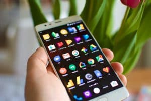 google-appel-chasser-bugs-applis