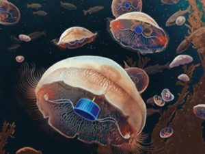 meduses bioniques ethique - Rude Baguette