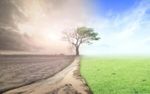urgence climatique bill gates etats forts - Rude Baguette
