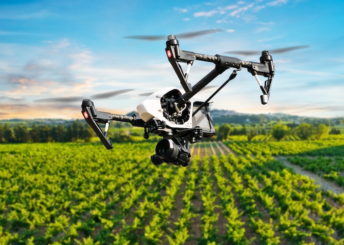French Agri Tech : le plan de développement des start-up agricoles french agri tech developpement start-up agricoles - Rude Baguette