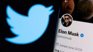 faux comptes twitter capoter rachat elon musk - Rude Baguette