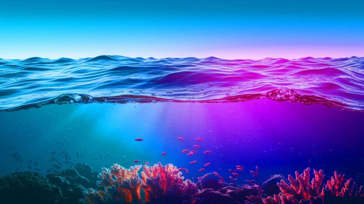 « Les océans ne seront plus bleus » : cette transformation inattendue va bouleverser votre vision des mers et menace l’équilibre écologique mondial Illustration de l'évolution potentielle de la couleur des océans vers le violet (création par IA, illustration non réaliste). Crédit : Ideogram.