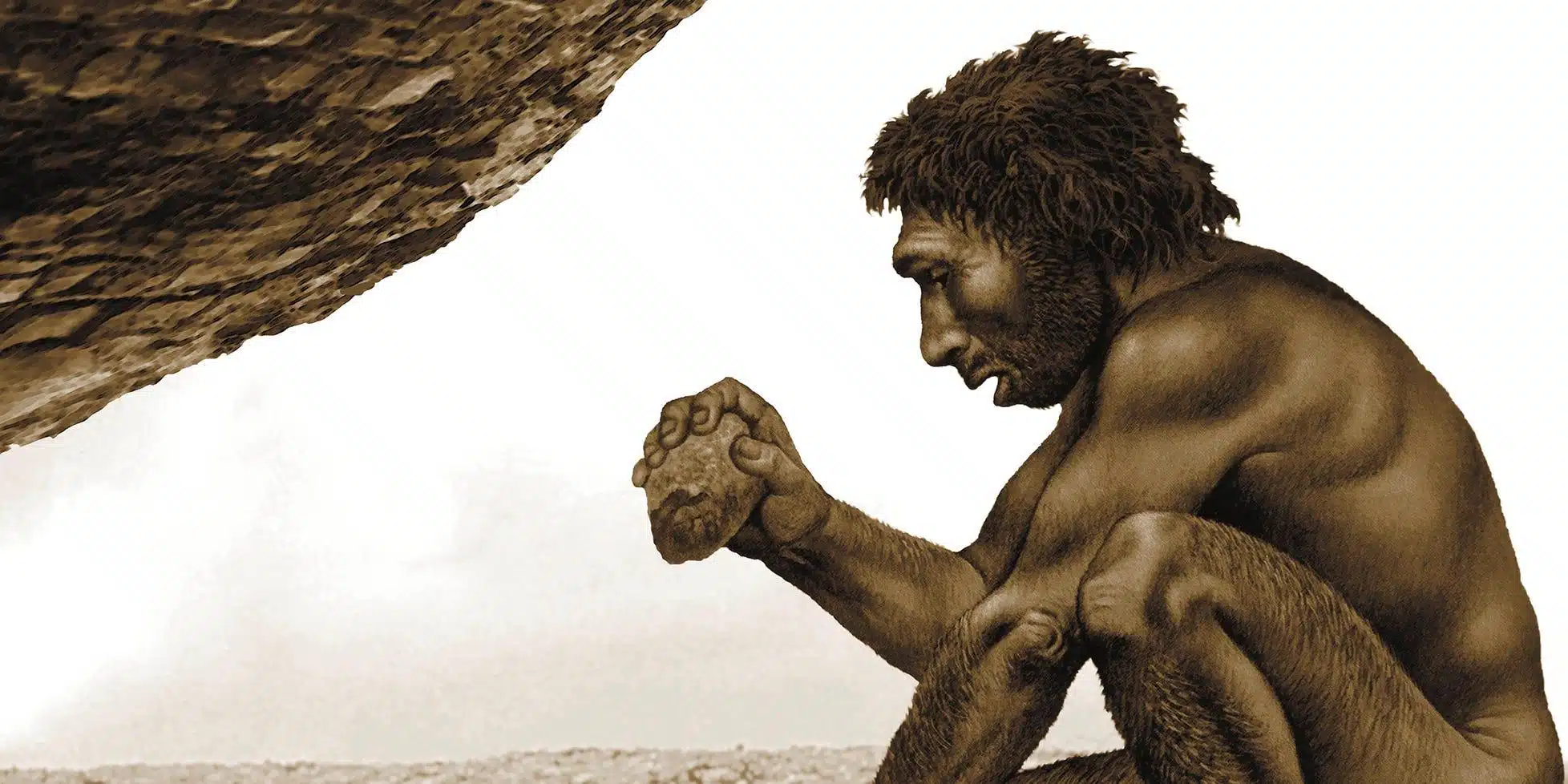 This Discovery Changes Human History: Ancient Tools From 1.5 Million ...