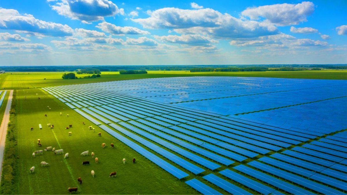 Illustration of the Mammoth Solar farm project in northern Indiana with solar panels and agrivoltaics. Image generated by AI.