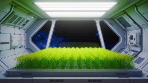“We Engineered the Perfect Space Food”: US Scientists Unveil Super-Dwarf Plant Designed to Keep Astronauts Alive and Thriving on Years-Long Missions to Mars Illustration of "super-dwarf" rice plants growing in a space habitat, generated by artificial intelligence.