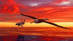 Illustration of an albatross soaring over the sea, inspiring drone technology.