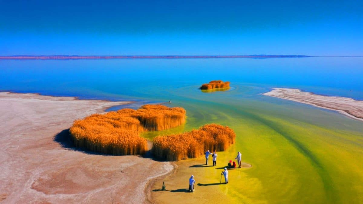“They Weren’t Supposed to Exist”: Strange Islands Emerging From the Great Salt Lake Reveal a Hidden Freshwater Network Beneath the Desert Illustration of scientists investigating mysterious formations in the drying Great Salt Lake.