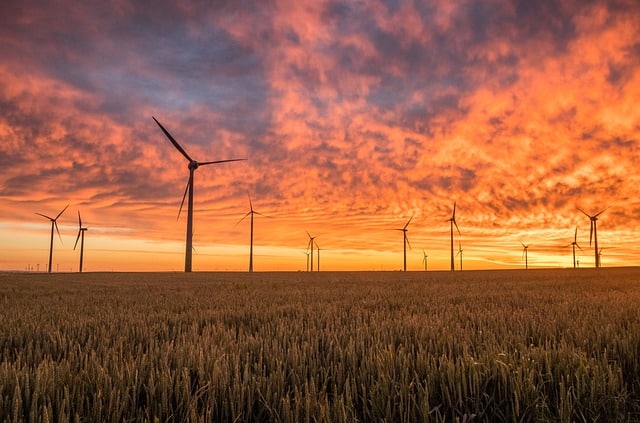 Pourquoi la croissance des énergies renouvelables ralentit-elle dans le monde ?
