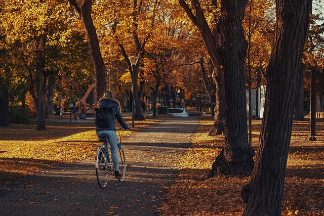 Le vélo, un atout majeur pour la santé, la planète et la société