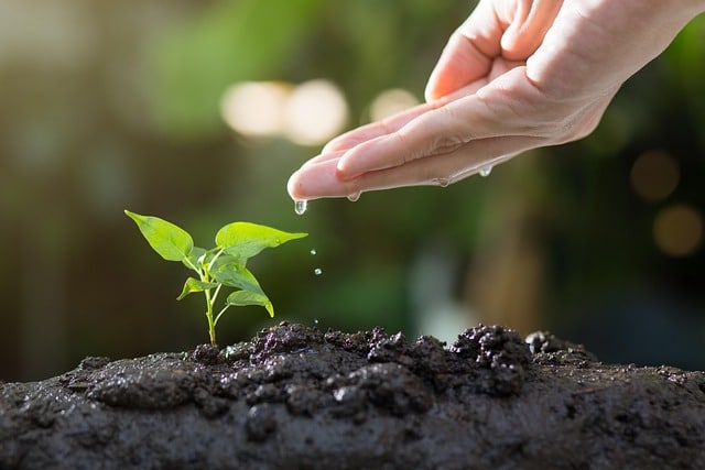 Le développement durable, une idée simple devenue un impératif planétaire
