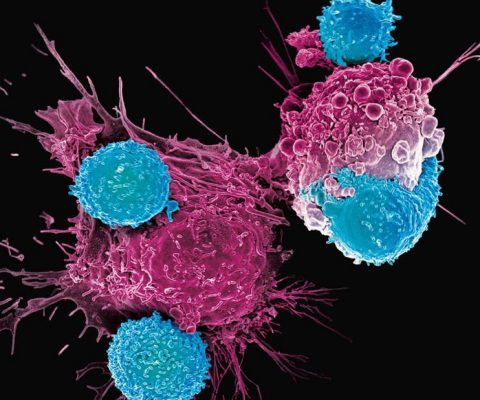 La biotech française Mnemo lève 75 millions d’euros pour soigner le cancer