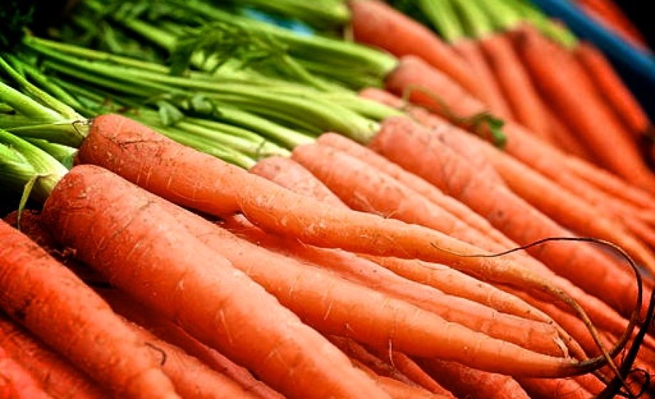 Want your startup to succeed? Peel carrots