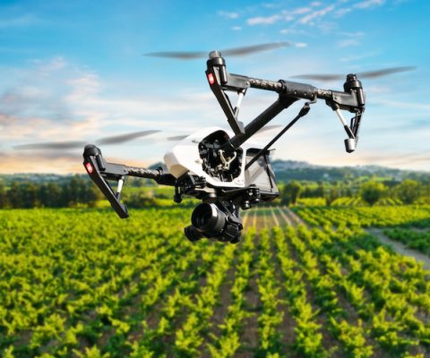 French Agri Tech : le plan de développement des start-up agricoles