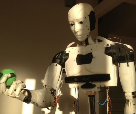 Democratizing Robotics: InMoov lends the future of AI a hand