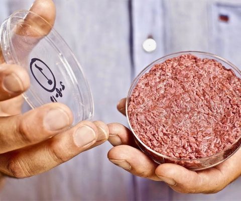 Memphis Meats et sa viande artificielle lèvent 161 millions de dollars