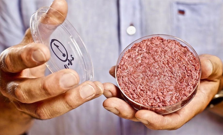 Memphis Meats et sa viande artificielle lèvent 161 millions de dollars