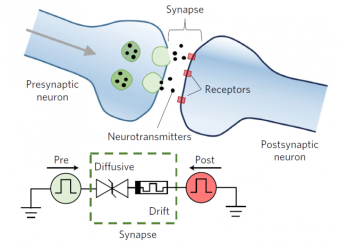 Artificial Synapses for Artificial Brains