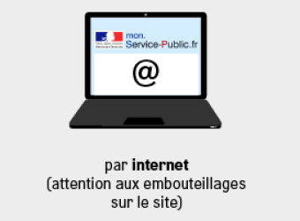 Servers crash, some parisians won’t get to vote in 2014