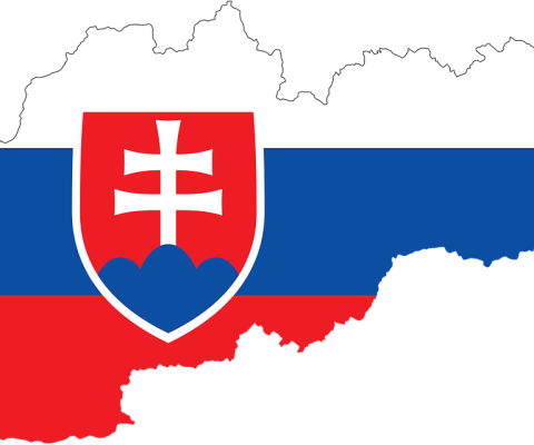 <strong>European Council Report faults Slovakia’s approach to national minorities</strong>