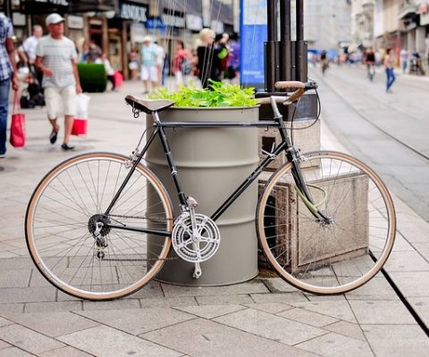 Le vélo : un allié pour la santé, l’économie et l’environnement